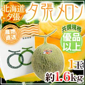 【産地直送】北海道 夕張メロン 1玉 約1.6kg 共撰・優品 化粧箱入り”優5-1玉”【予約 6月下旬以降】 送料無料