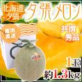【産地直送】北海道 夕張メロン 1玉 約1.3kg 共撰・秀品 化粧箱入り”秀6-1玉”【予約 6月下旬以降】 送料無料
