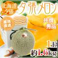 【産地直送】北海道 夕張メロン 1玉 約1.6kg 共撰・秀品 化粧箱入り”秀5-1玉”【予約 6月下旬以降】 送料無料
