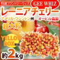 ”アメリカ産 ジーウィズ レーニアチェリー” 約2kg イエロー等級 さくらんぼ【予約 6月下旬以降】 送料無料