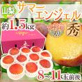 山梨県産 ”サマーエンジェル” 秀品 8～11玉前後 約1.5kg 化粧箱 プラム【予約 7月下旬以降】 送料無料
