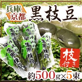 兵庫丹波 京都丹波 ”枝付き早生黒枝豆” 約500g×5pc 黒豆【予約 7月中旬以降】 送料無料