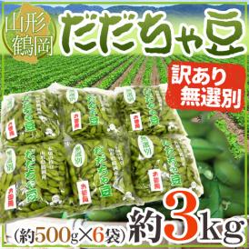 山形産 ”だだちゃ豆” 無選別・訳あり品 約3kg 希少枝豆 だだ茶豆 だだっちゃ豆【予約 8月以降】 送料無料