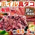 ”ボイル真タコ” 訳あり 約4.5～5kg 大きさおまかせ【予約 入荷次第発送】 送料無料