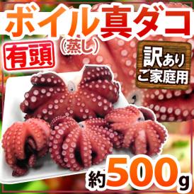 ”ボイル真タコ” 訳あり 約500g 大きさおまかせ【予約 入荷次第発送】 送料無料