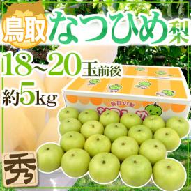 鳥取産 ”なつひめ梨” 秀品 小玉18～20玉前後 約5kg【予約 8月末以降】 送料無料