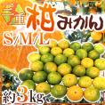 ”三重産 柑みかん” 秀品（等級柑） S/M/Lサイズ 約3kg【予約 9月中旬以降】 送料無料