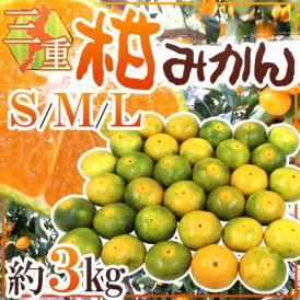 ”三重産 柑みかん” 秀品（等級柑） S/M/Lサイズ 約3kg【予約 9月中旬以降】 送料無料