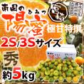 宮崎産 ”南国の陽蜜（ひみつ）みかん” 秀品 2S/3Sサイズ 約5kg【予約 9月中下旬以降】 送料無料