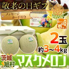 高級メロンの代名詞♪温室育ちのマスクメロン！