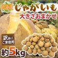 ”北海道産 じゃがいも” 訳あり 約5kg 大きさおまかせ【予約 8月末以降】 送料無料