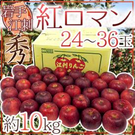 岩手江刺産 ”紅ロマンりんご” 秀品 24～36玉 約10kg【予約 9月以降】 送料無料