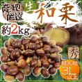 ”国産和栗” 秀品 超大粒3Lサイズ以上 約2kg 産地厳選 生栗【予約 9月下旬以降】 送料無料