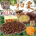 ”国産和栗” 秀品 超大粒3Lサイズ以上 約10kg 産地厳選 生栗【予約 9月下旬以降】 送料無料