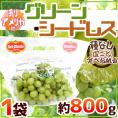 【送料無料】種なしぶどう ”グリーンシードレス” 1袋 約800g ちょっと訳あり チリ・アメリカ産他 青ぶどう【予約 入荷次第発送】