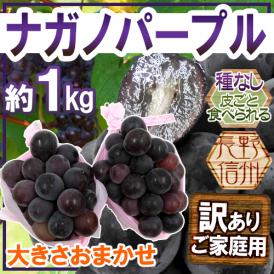 巨峰の血を継いだ「種なしで皮ごと食べられる」黒ぶどう！