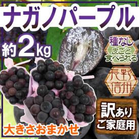 長野産 ”ナガノパープル” 訳あり 約2kg 大きさおまかせ ぶどう【予約 9月以降】 送料無料