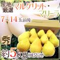 秋の洋梨 ”マルゲリット・マリーラ” 秀品 7〜14玉前後 風袋込約5kg 産地厳選【予約 9月以降】 送料無料