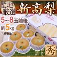”新高梨” 秀品 超大玉 風袋込5～8玉前後 約5kg 化粧箱 産地厳選【予約 10月以降】 送料無料
