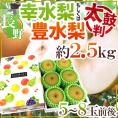 長野産 ”幸水梨もしくは豊水梨 太鼓判” 5～8玉前後 約2.5kg 化粧箱【予約 8月末以降】 送料無料