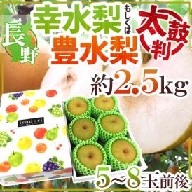 長野産 ”幸水梨もしくは豊水梨 太鼓判” 5～8玉前後 約2.5kg 化粧箱【予約 8月末以降】 送料無料