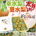 ”長野産 幸水梨もしくは豊水梨 太鼓判” 10～16玉前後 約5kg 化粧箱【予約 8月末以降】 送料無料