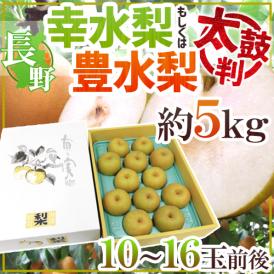 ”長野産 幸水梨もしくは豊水梨 太鼓判” 10～16玉前後 約5kg 化粧箱【予約 8月末以降】 送料無料