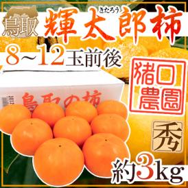 鳥取県 猪口農園 ”輝太郎柿” 秀品 8～12玉前後 約3kg【予約 10月下旬以降】 送料無料