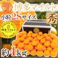 福岡産 山川みかん ”博多マイルドみかん” 秀品 小粒2Sサイズ 約4kg 黒箱【予約 11月中旬以降】 送料無料
