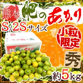 熊本産 ”肥のあかりみかん” 秀品 小粒S/2Sサイズ 約5kg【予約 9月下旬以降】 送料無料