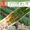兵庫県朝来 ”岩津ねぎ” 秀品 3束前後 約1kg【予約 11月末以降】