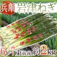 兵庫県朝来 ”岩津ねぎ” 秀品 6～7束前後 約2kg【予約 11月末以降】