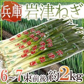 兵庫県朝来 ”岩津ねぎ” 秀品 6～7束前後 約2kg【予約 11月末以降】