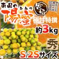 宮崎産 ”南国の陽蜜（ひみつ）みかん” 秀品 S/2Sサイズ 約3kg【予約 9月中下旬以降】 送料無料