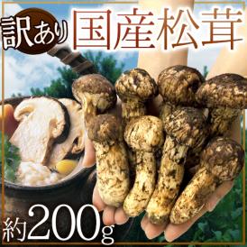 ”国産松茸” 訳あり 約200g 大きさおまかせ 産地厳選【予約 9月下旬以降】 送料無料