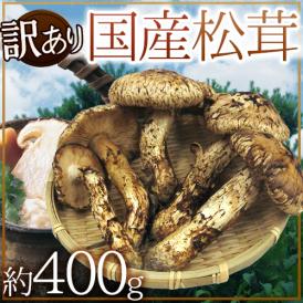 ”国産松茸” 訳あり 約400g 大きさおまかせ 産地厳選【予約 9月下旬以降】 送料無料