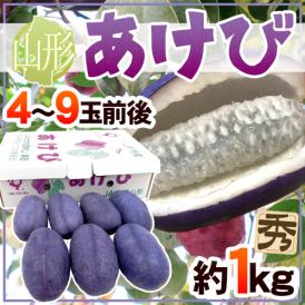 山形県 ”あけび” 秀品 4～9玉前後 約1kg 木通（アケビ）【予約 9月中旬以降】 送料無料