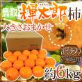 鳥取産 ”輝太郎柿” 訳あり 約6kg 大きさおまかせ【予約 10月以降】 送料無料