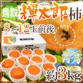 鳥取産 ”輝太郎柿” 青秀品 8～12玉前後 約3kg【予約 10月以降】 送料無料