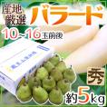 ”バラード” 秀品 10～16玉前後 約5kg 産地厳選 洋梨【予約 9月末以降】 送料無料