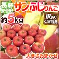 長野県 安曇野産 ”サンふじりんご” 訳あり 約5kg 大きさおまかせ【予約 11月下旬以降】 送料無料