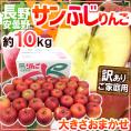 長野県 安曇野産 ”サンふじりんご” 訳あり 約10kg 大きさおまかせ 産地箱【予約 11月下旬以降】 送料無料