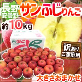 長野県 安曇野産 ”サンふじりんご” 訳あり 約10kg 大きさおまかせ 産地箱【予約 11月下旬以降】 送料無料