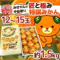 愛媛・中島産 ”匠と極みかん みきゃんの中島便り” 12～15玉 約1.5kg みきゃん柄化粧箱【予約 11月下旬以降】 送料無料
