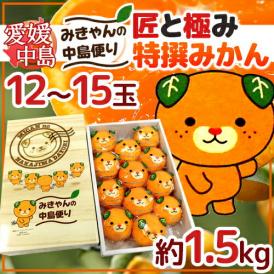 愛媛・中島産 ”匠と極みかん みきゃんの中島便り” 12～15玉 約1.5kg みきゃん柄化粧箱【予約 11月下旬以降】 送料無料