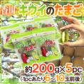 香川県 ”キウイのたまご” 約200g×《5pc》（1pcあたり6～11玉前後）【予約 11月以降】 送料無料