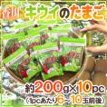 香川県 ”キウイのたまご” 約200g×《10pc》(1pcあたり6~11玉前後)【予約 11月以降】 送料無料