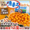長崎 西海 ”味まるみかん” 訳あり 約10kg 大きさおまかせ 産地化粧箱 最低糖度12度保証【予約 11月下旬以降】 送料無料