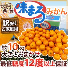 長崎 西海 ”味まるみかん” 訳あり 約10kg 大きさおまかせ 産地化粧箱 最低糖度12度保証【予約 11月下旬以降】 送料無料