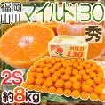 山川みかん ”福岡産 マイルド130” 秀品 小粒2Sサイズ 約8kg 産地箱【予約 11月以降】 送料無料